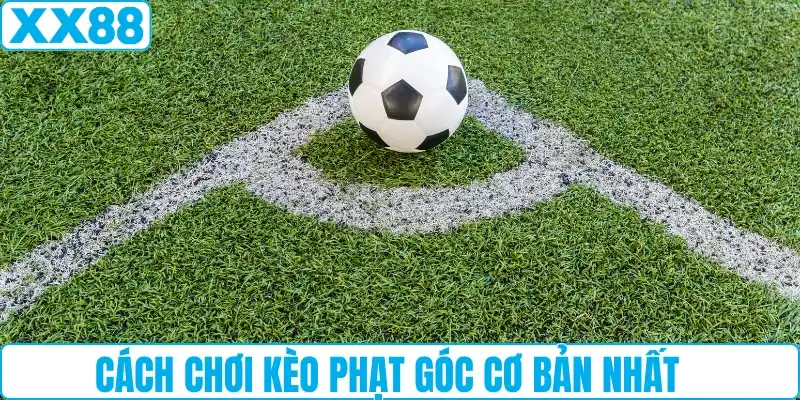 Cách chơi kèo phạt góc cơ bản nhất